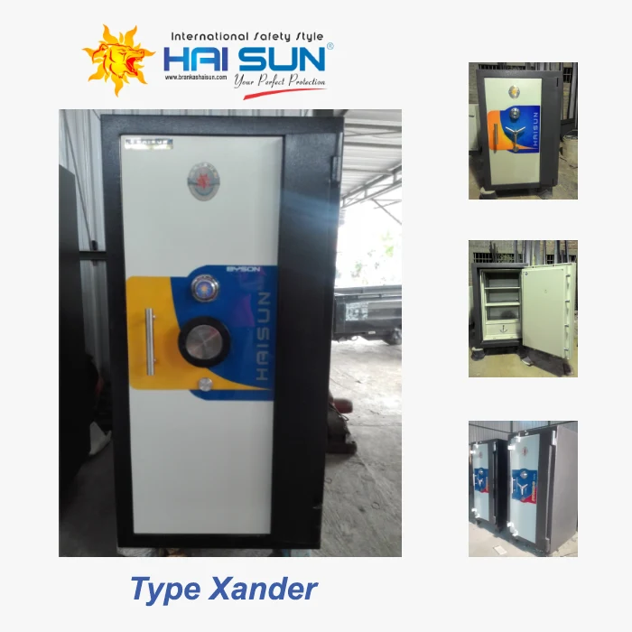 Type Xander HAISUN
